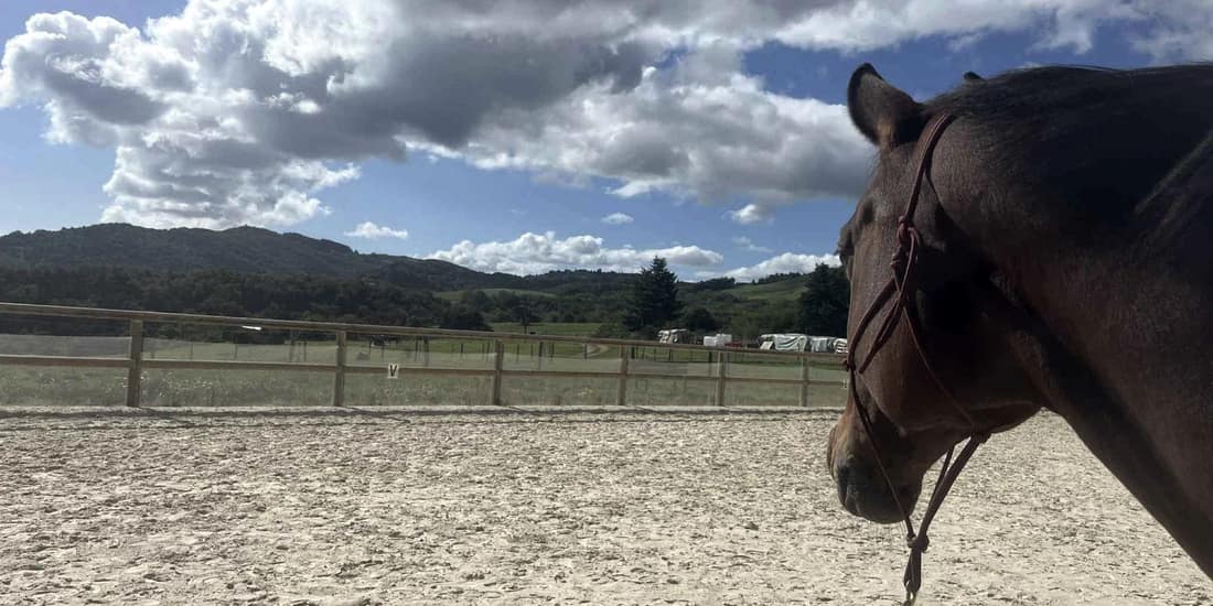 La carrière sablée de l’écurie, les collines ardéchoises au fond, un cheval à droite du cadre.