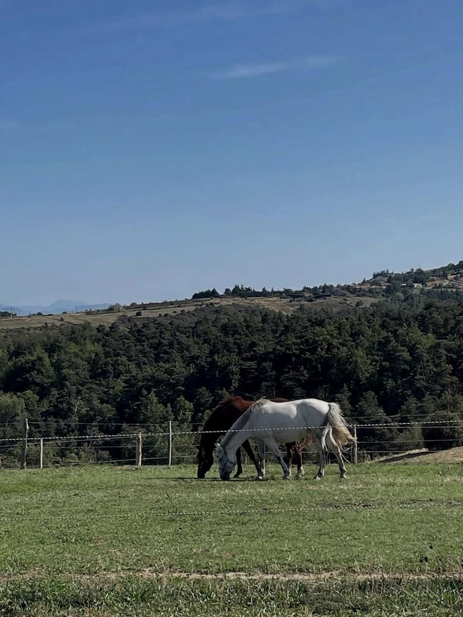Deux chevaux dans un parc clôturé de l’écurie, la vallée au fond.