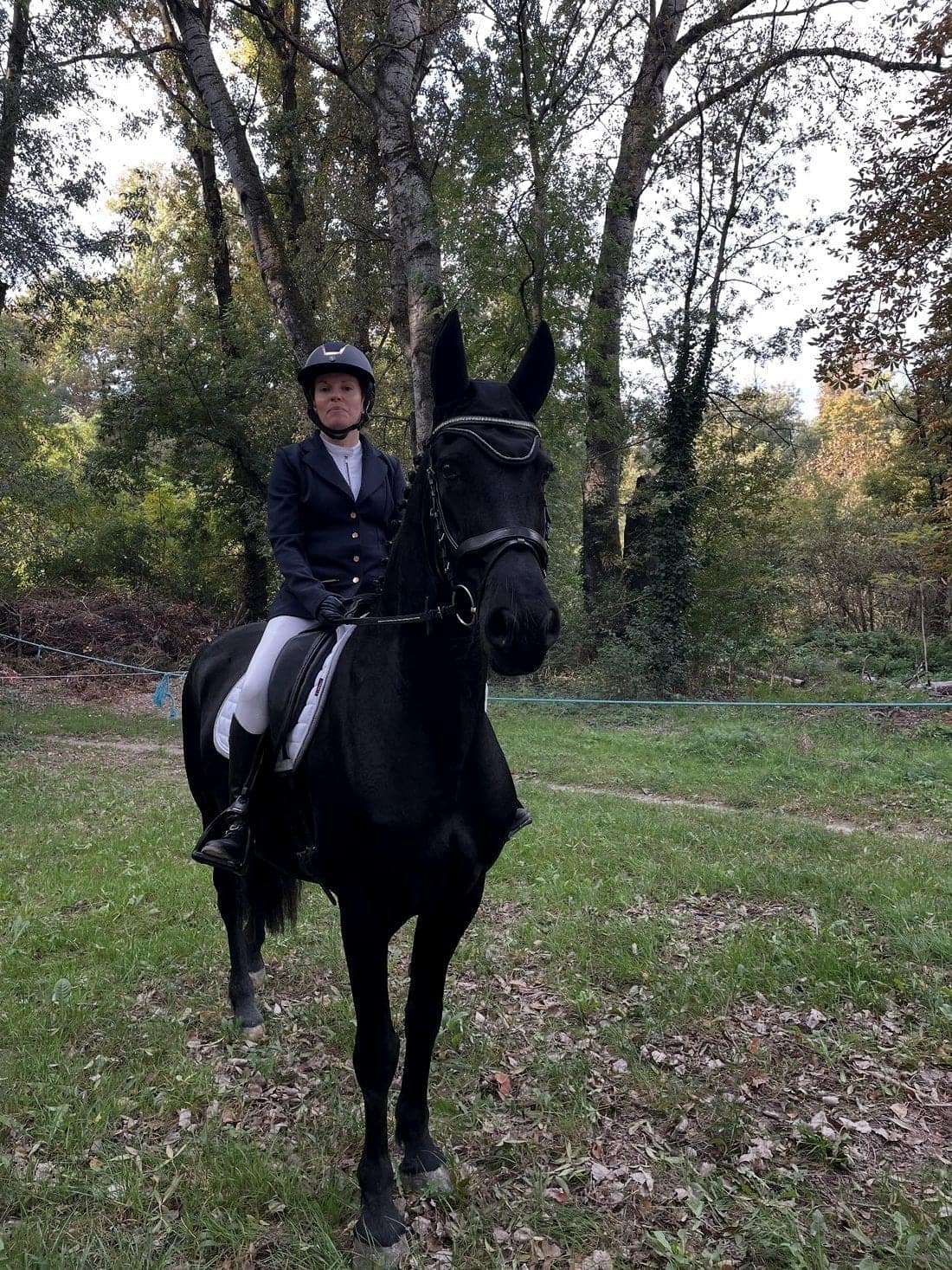 Un cheval noir monté en tenue de concours, sous les arbres près de l’écurie.