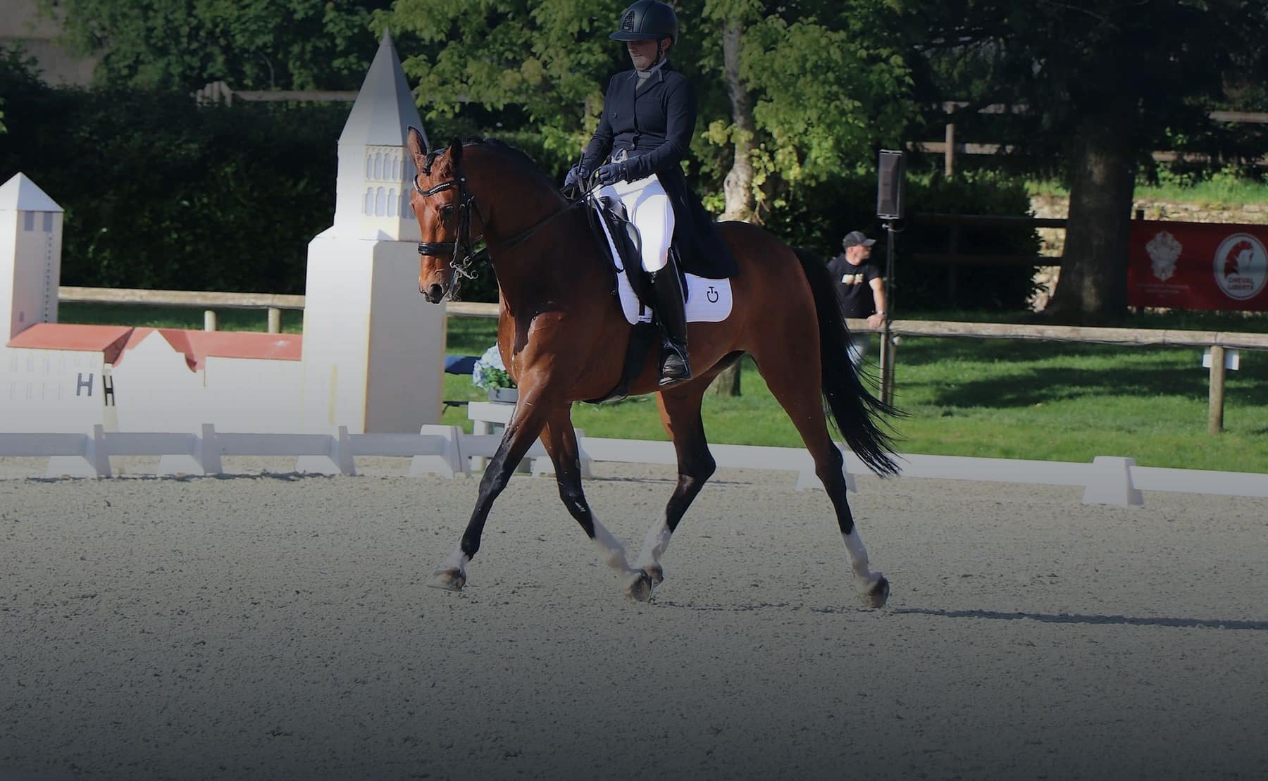 Une reprise de dressage en concours, cheval bai au trot devant les chalets de jury.